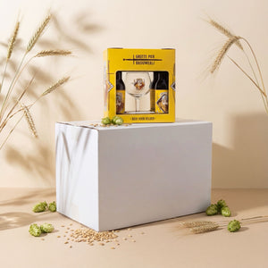 GESCHENKVERPAKKING GROOT 4x 33cl FLES + GLAS