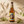 Pallet Witbier
